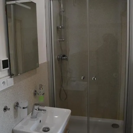 Slunecnice Kurimska Nova Ves