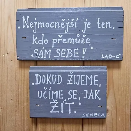 Slunecnice Kurimska Nova Ves