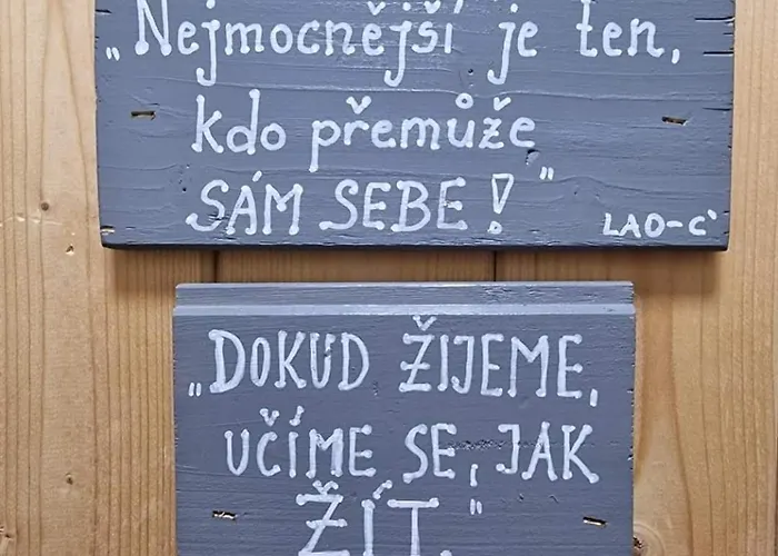 Slunecnice Kurimska Nova Ves